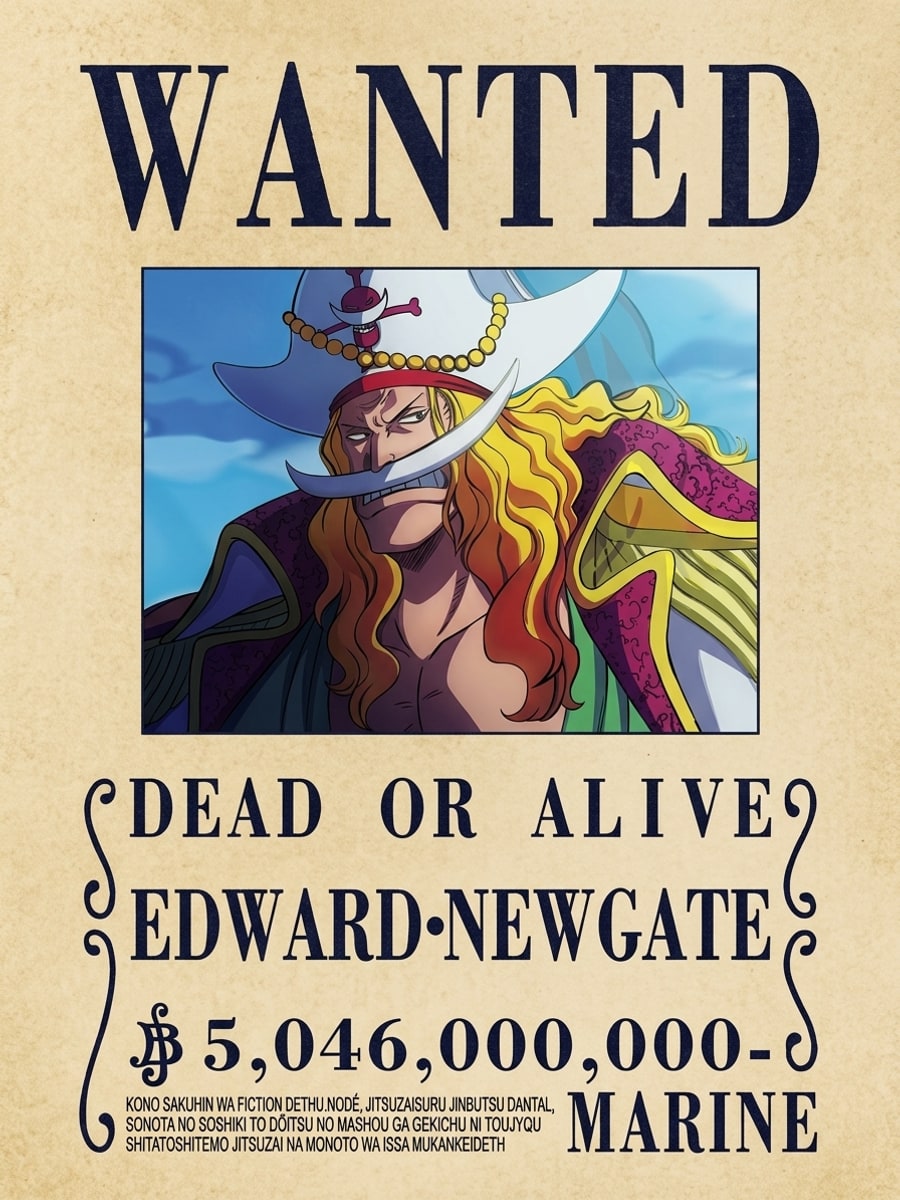 One Piece Lenticular Poster - Sağ görünüm